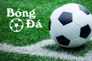 Bóng Trong Cuộc Và Bóng Ngoài Cuộc Theo Luật Chơi
