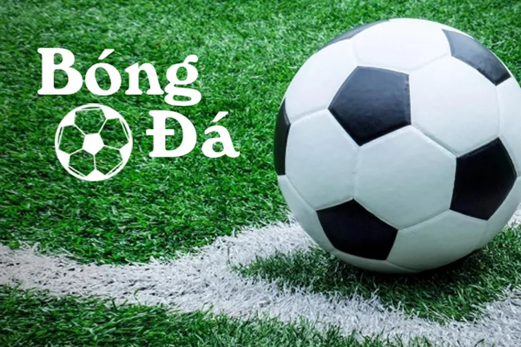 Bóng Trong Cuộc Và Bóng Ngoài Cuộc Theo Luật Chơi