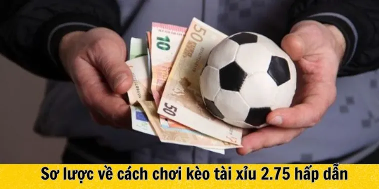Tuyệt Chiêu Cách Chơi Kèo 2.75 Tại 7M Tài Xỉu Ăn Chắc Mặc Bền
