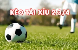 Chiến Thuật Đánh Kèo Chấp 2 3/4 Tại 7M Đỉnh Cao Dành Cho Người Mới