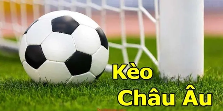 Hướng Dẫn Chi Tiết Cách Chơi Kèo Châu Âu Tại 7M Hiệu Quả Nhất