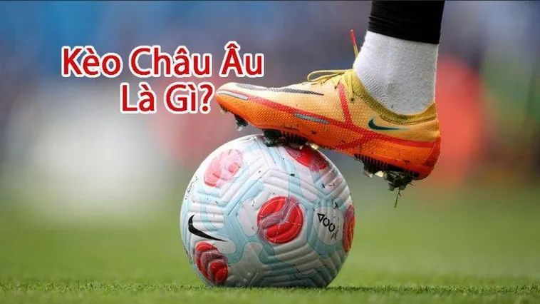 Hướng Dẫn Chi Tiết Cách Chơi Kèo Châu Âu Tại 7M Hiệu Quả Nhất