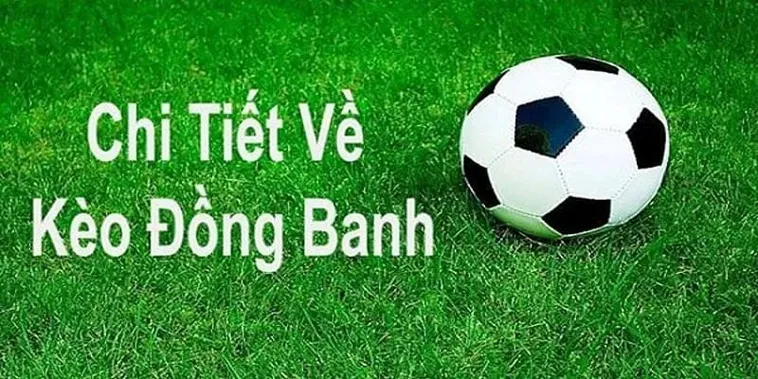 Kinh Nghiệm Xương Máu Về Cách Chơi Kèo Đồng Banh Tại 7M Bất Bại