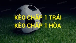 Cách Chơi Kèo Chấp 1 Tại 7M Hiệu Quả Cho Người Mới Bắt Đầu