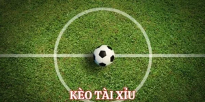Cách Chơi Kèo Tài Xỉu Bóng Đá Tại 7M Dễ Hiểu Nhất