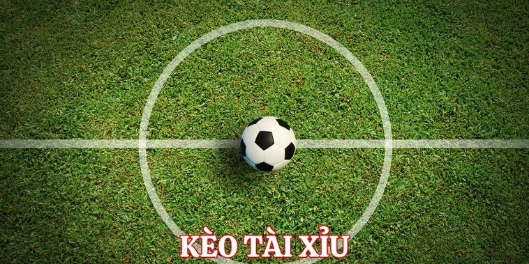 Cách Chơi Kèo Tài Xỉu Bóng Đá Tại 7M Dễ Hiểu Nhất